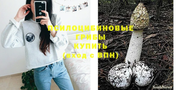 стафф Лабытнанги