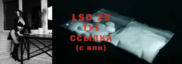 прущие грибы Ладушкин