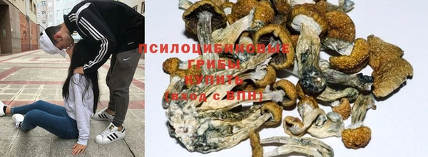 мяу мяу кристалл Бородино