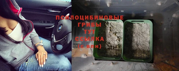 бошки Бугульма